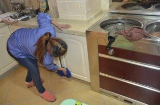 上海新聞,上海熱點,政務(wù),金融,科創(chuàng)